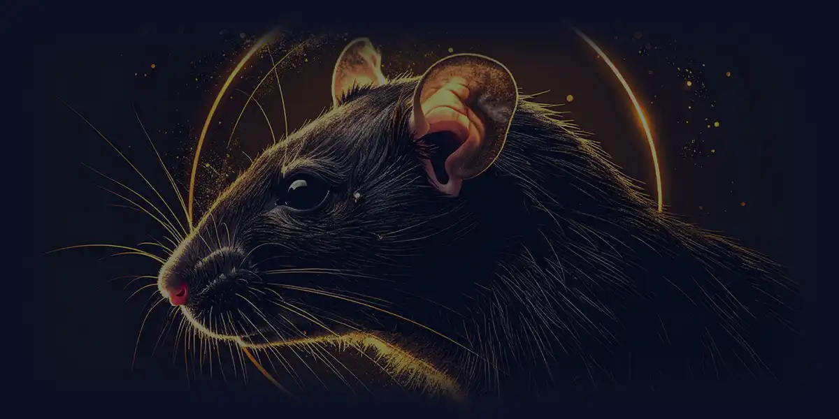 "The Rat Sign - Chinese Astrology"