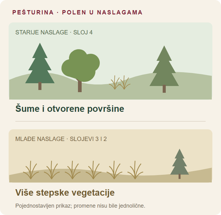 Shema vegetacije: starije naslage pokazuju šumoviti mozaik, mlađe više stepskih biljaka, uz preostala stabla
