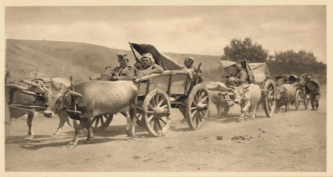 Transport ranjenika posle Bregalničke bitke, 1913. Istorijska fotografija sanitetskog prevoza.
