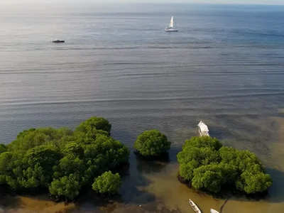 Mangrove i čamci uz obalu