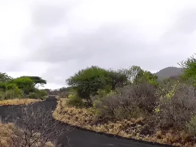 Pejzaž parka Tsavo