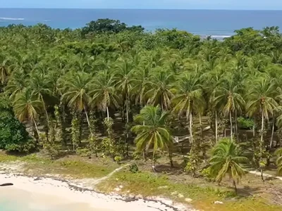 Cayo Zapatilla