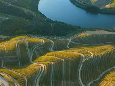 Vinske terase iznad reke Douro