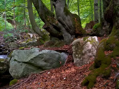 Šútovski vodopad, Mala Fatra